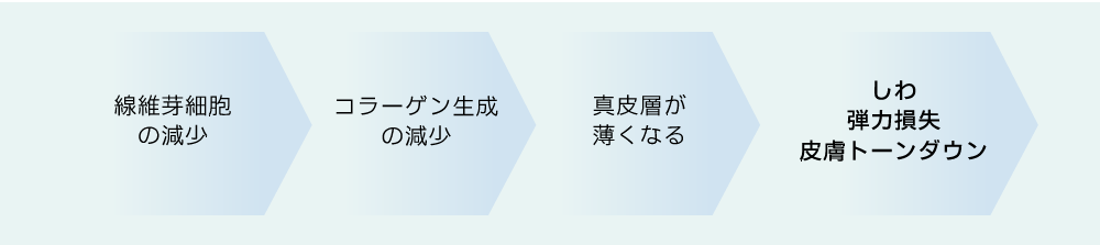 線維芽細胞の減少